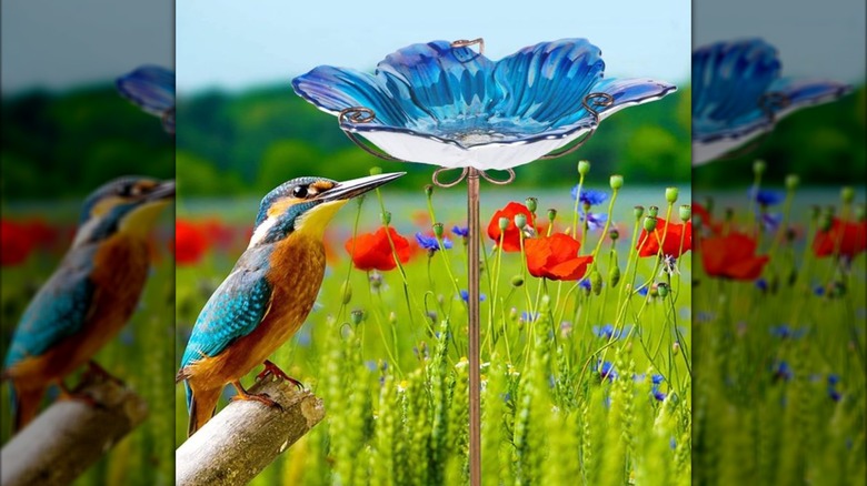Mumtop glass bird feeder in flower field with bird