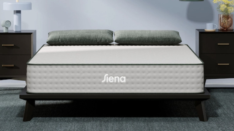 siena mattress uncovered in a neutral room with green tones