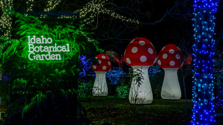 Path at the Idaho Botanical Garden with lights and decor for winter events