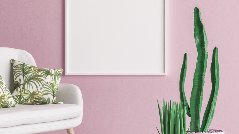 rose color on accent wall and white couch