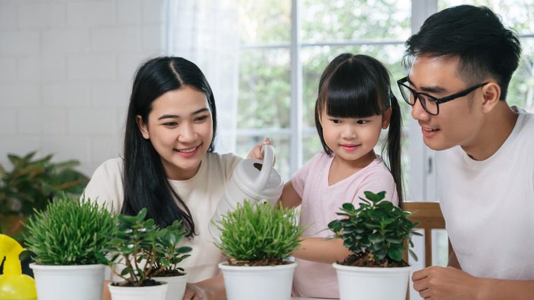 Family tending indoor plants