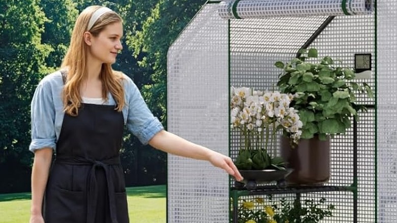 Woman using a small greenhouse to grow plants