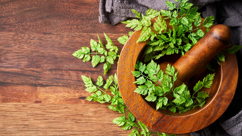 Wooden bowl of chervil