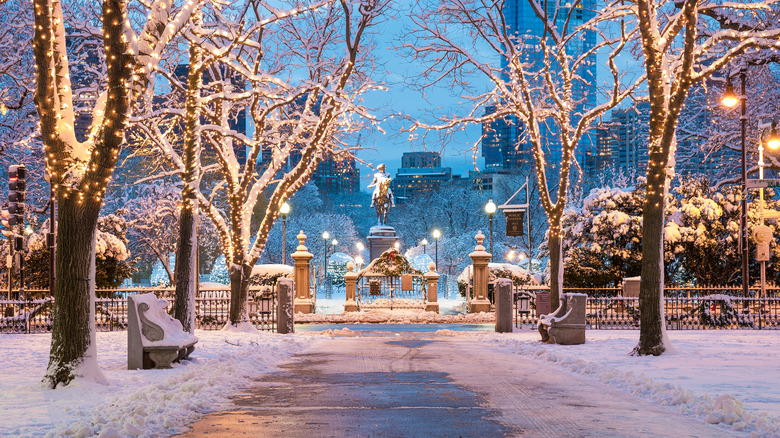 back bay park