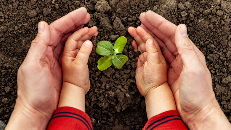 Holding child's hands around plant