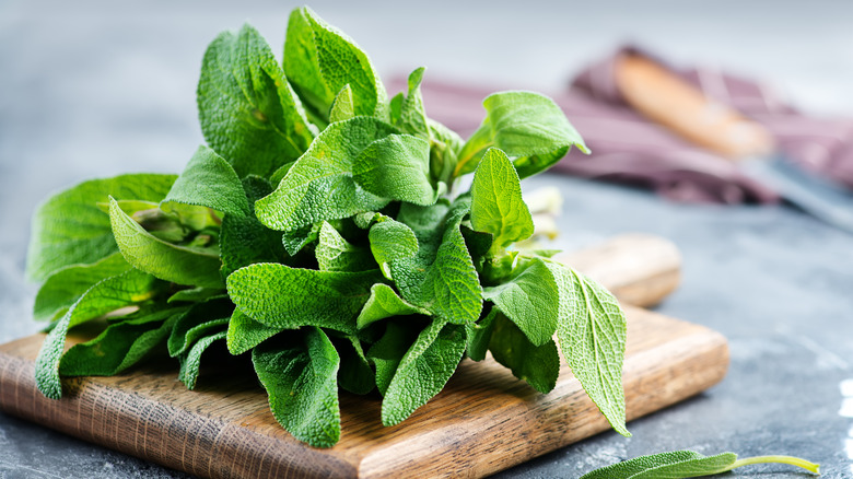 cut sage on wooden board