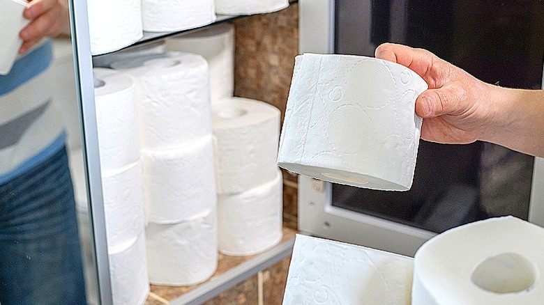 Person holding toilet paper roll