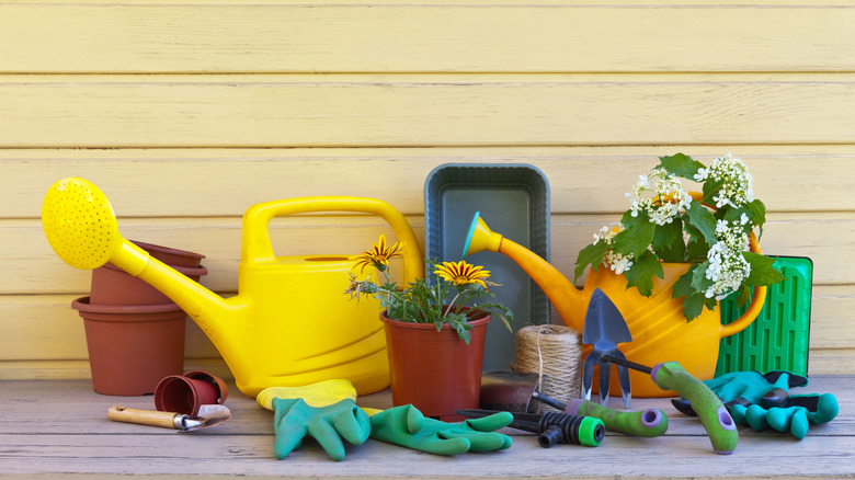 garden watering tools