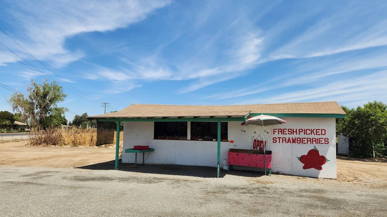 A low white building with the words "Fresh picked strawberries" painted in red on its side in Farmersville, CA
