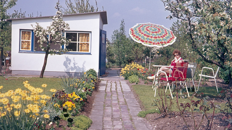 A 1960s summer garden in Germany with flowers, a person, and a shed.
