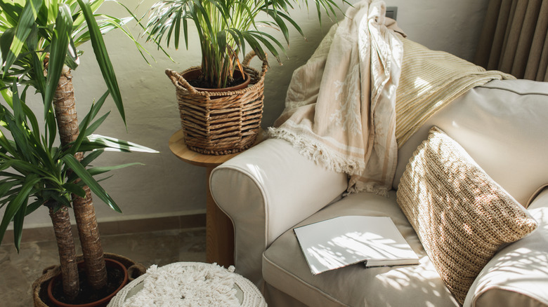 Beige reading nook with plants