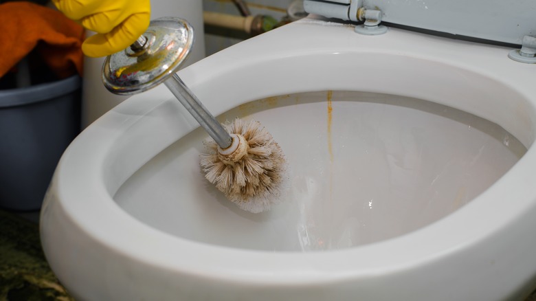 person cleaning rust in toilet