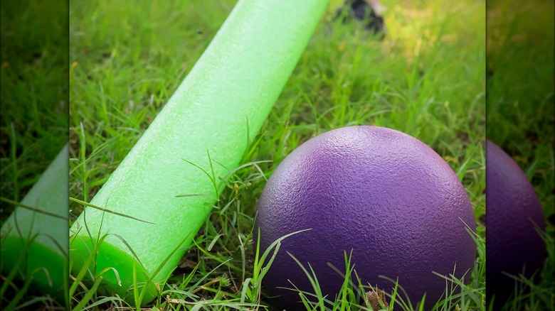 pool noodle and ball