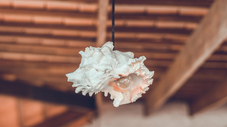 A stylish pendant lamp with a black wire and natural, conch shaped seashell pendant around the bulb