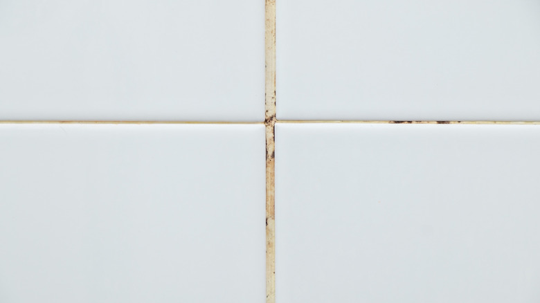 discolored grout between white tiles