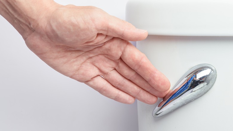 closeup of hand on a silver toilet lever