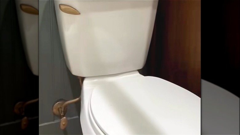 white toilet with gold handle, pipe and water valve