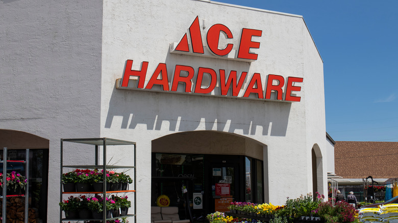 Ace hardware building