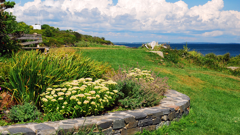 A garden with a stone edge and an old wooden bench overlooking the ocean