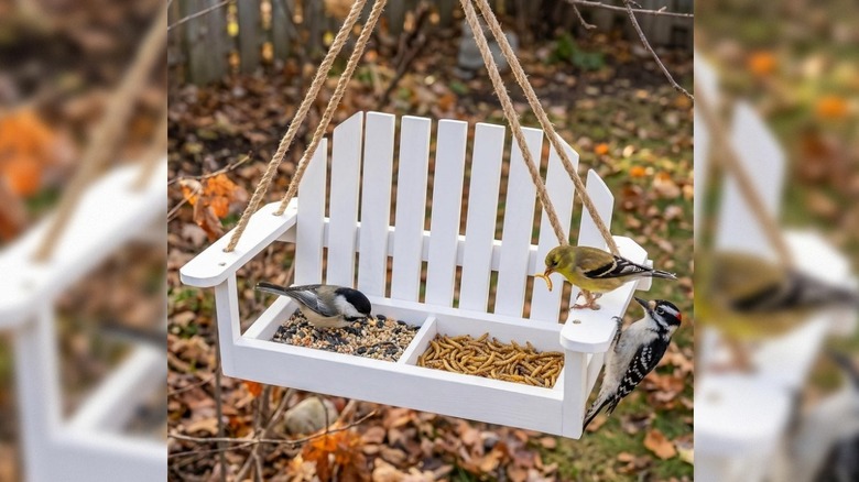 Solution4Patio white swing bird feeder