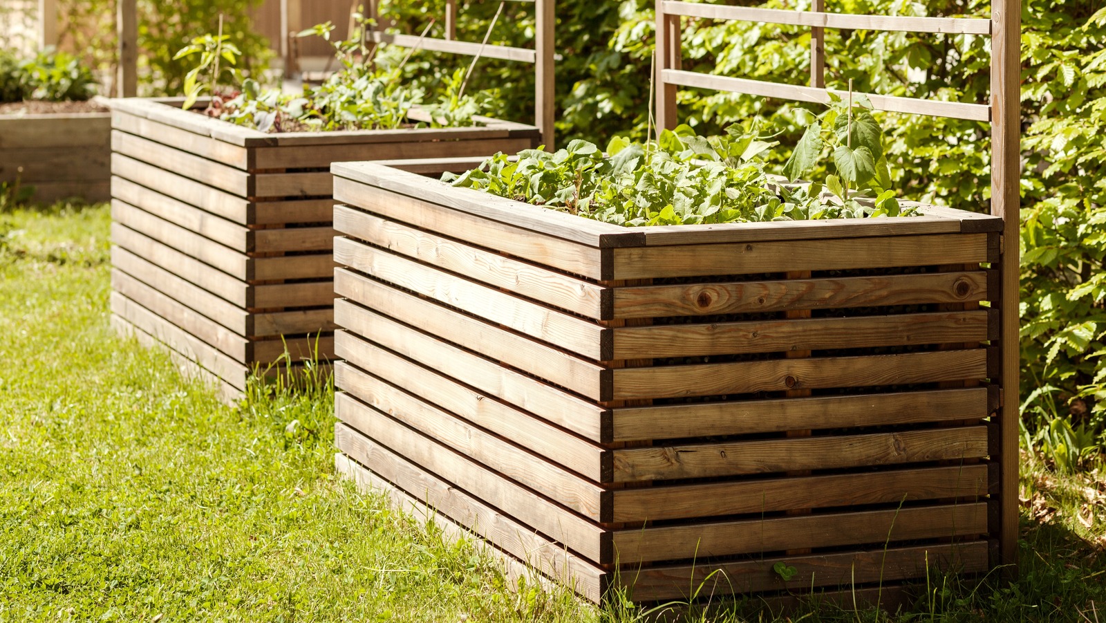 The Affordable DIY Alternative To Raised Garden Beds You Need To See To