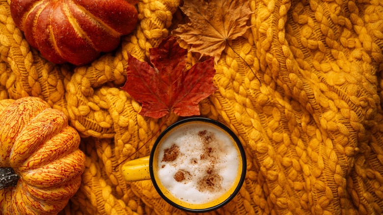 cozy fall blanket sits with pumpkins and fall decor