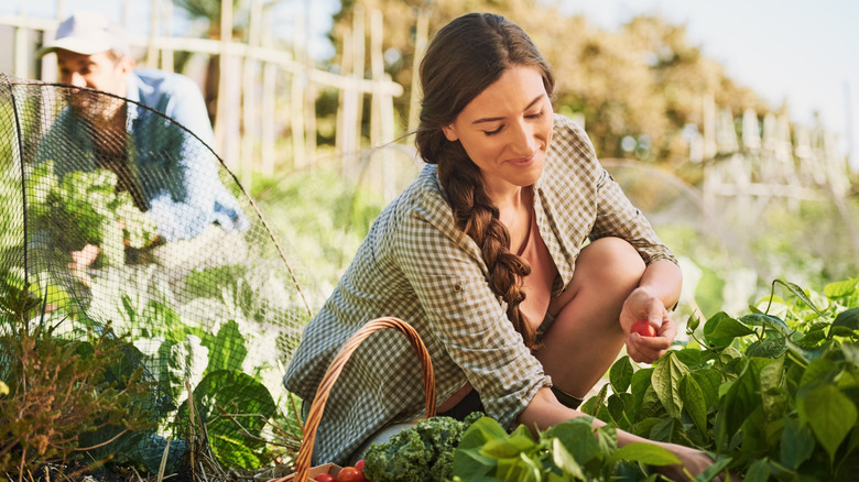 The Affordable Garden Path Solution You Can Find Right In Your Yard