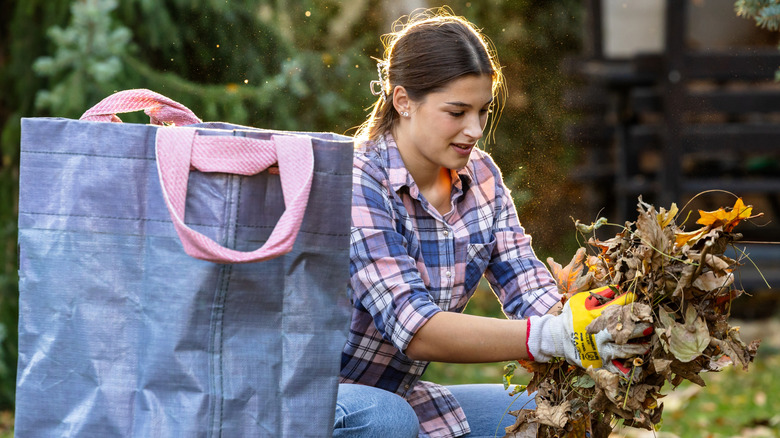 Woman picks up handful of leaves to put in yard tote bag