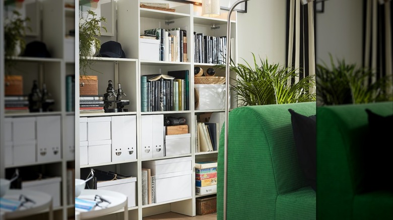 Multiple IKEA bookcases against wall