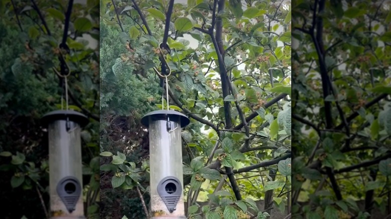Bird feeders hanging in a tree from brass-colored IKEA HULTARP hooks.