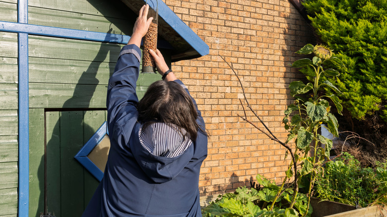 Two birds sit on a snow-covered bird feeder hanging from a tree