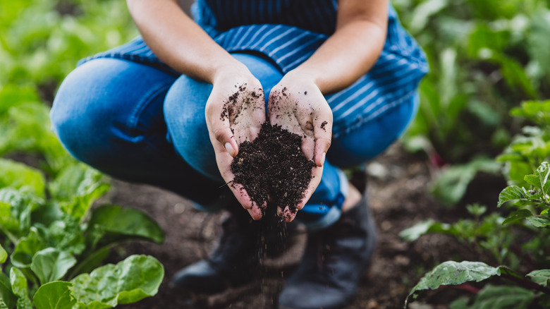 A person in jeans and a garden apron holding soil in her hands