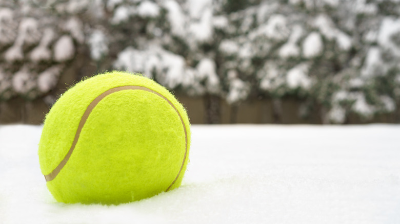 tennis ball on a bed of snowy lawn