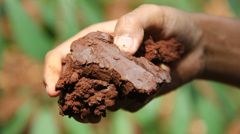 A hand holding compact clay soil