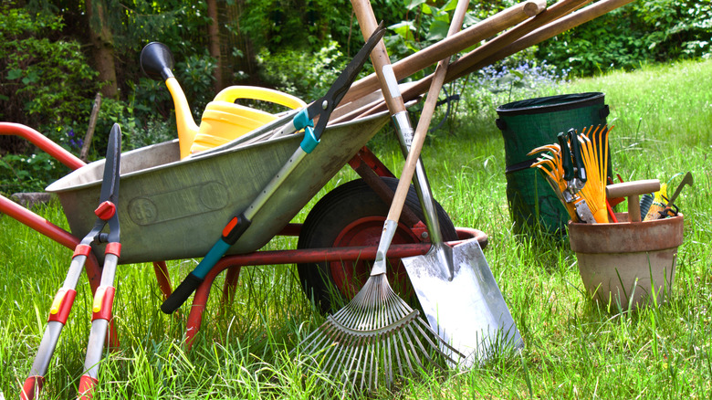 Cluttered garden equipment on a lawn