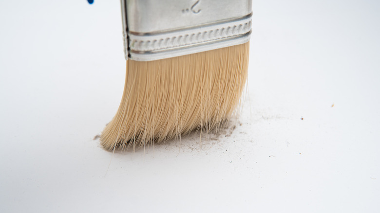 Paintbrush swiping dust
