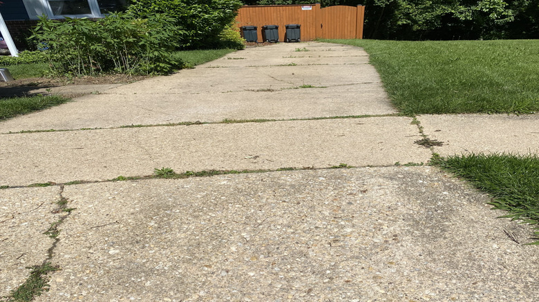 Cracks on a driveway with a house and trash cans in the background.