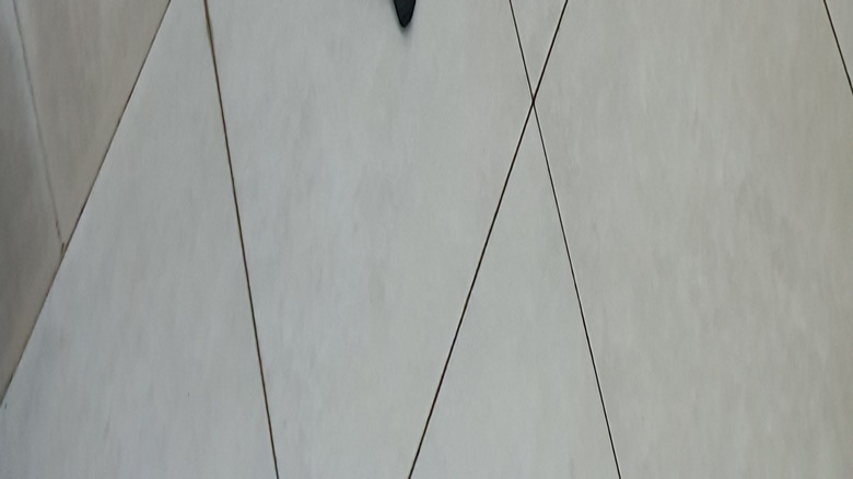 A floor squeegee resting on a tile shower