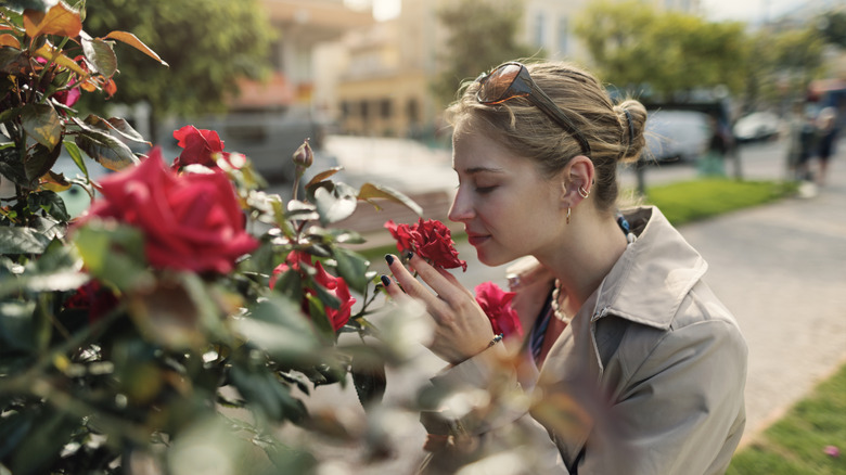 Woman stopping to smell red roses