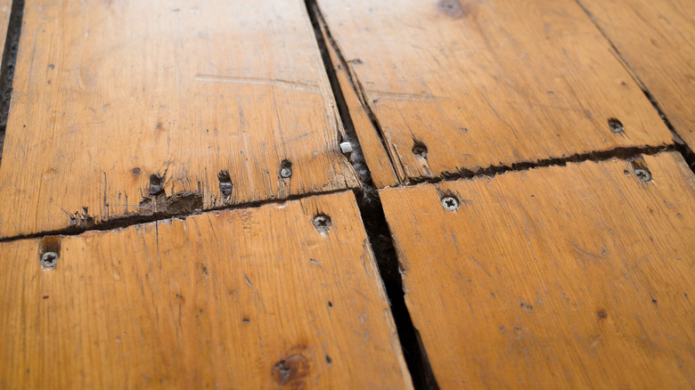 An old hardwood floor marred by screw heads