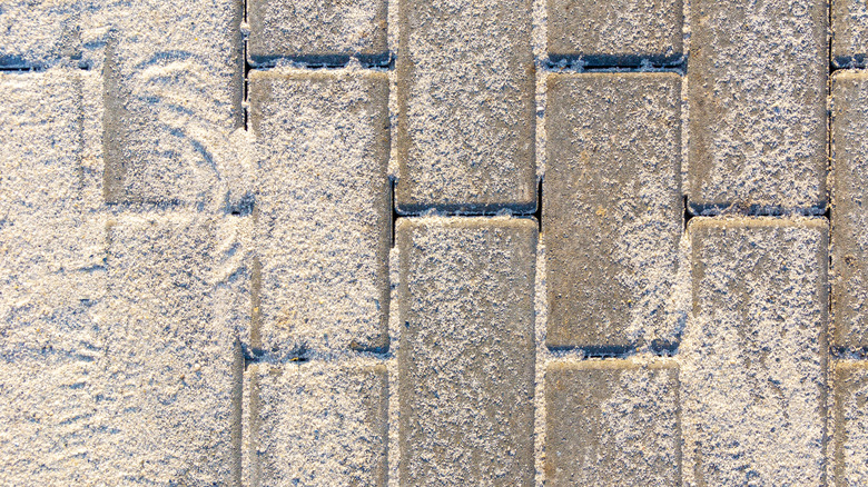 Sand being used in-between pavement bricks