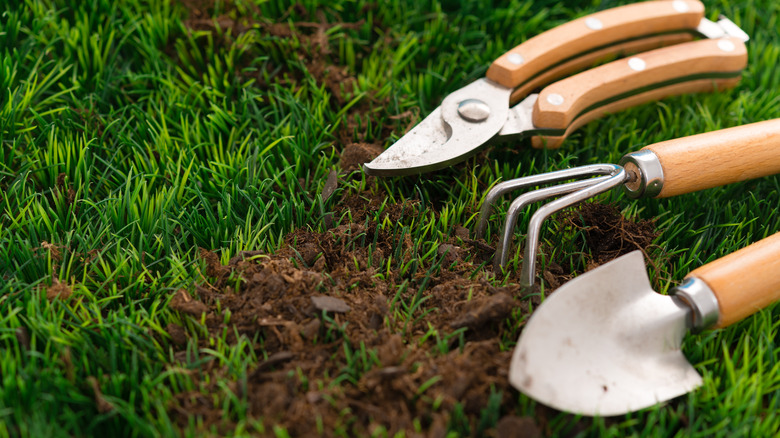 garden tools on the ground