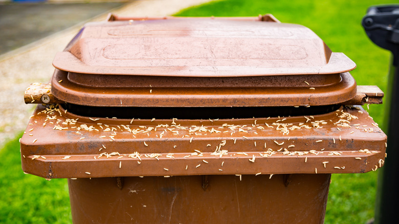 A brown exterior trash can covered in maggots.