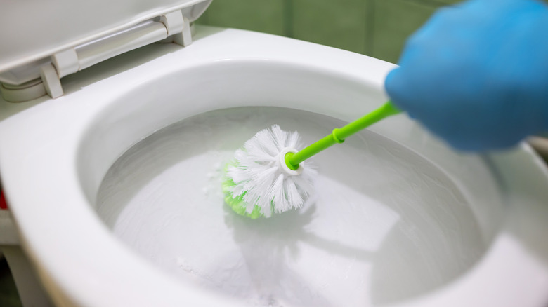 A hand in blue rubber gloves holding a toilet brush scrubbing a clean white toilet