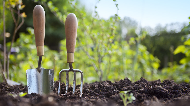 Gardening tools in soil