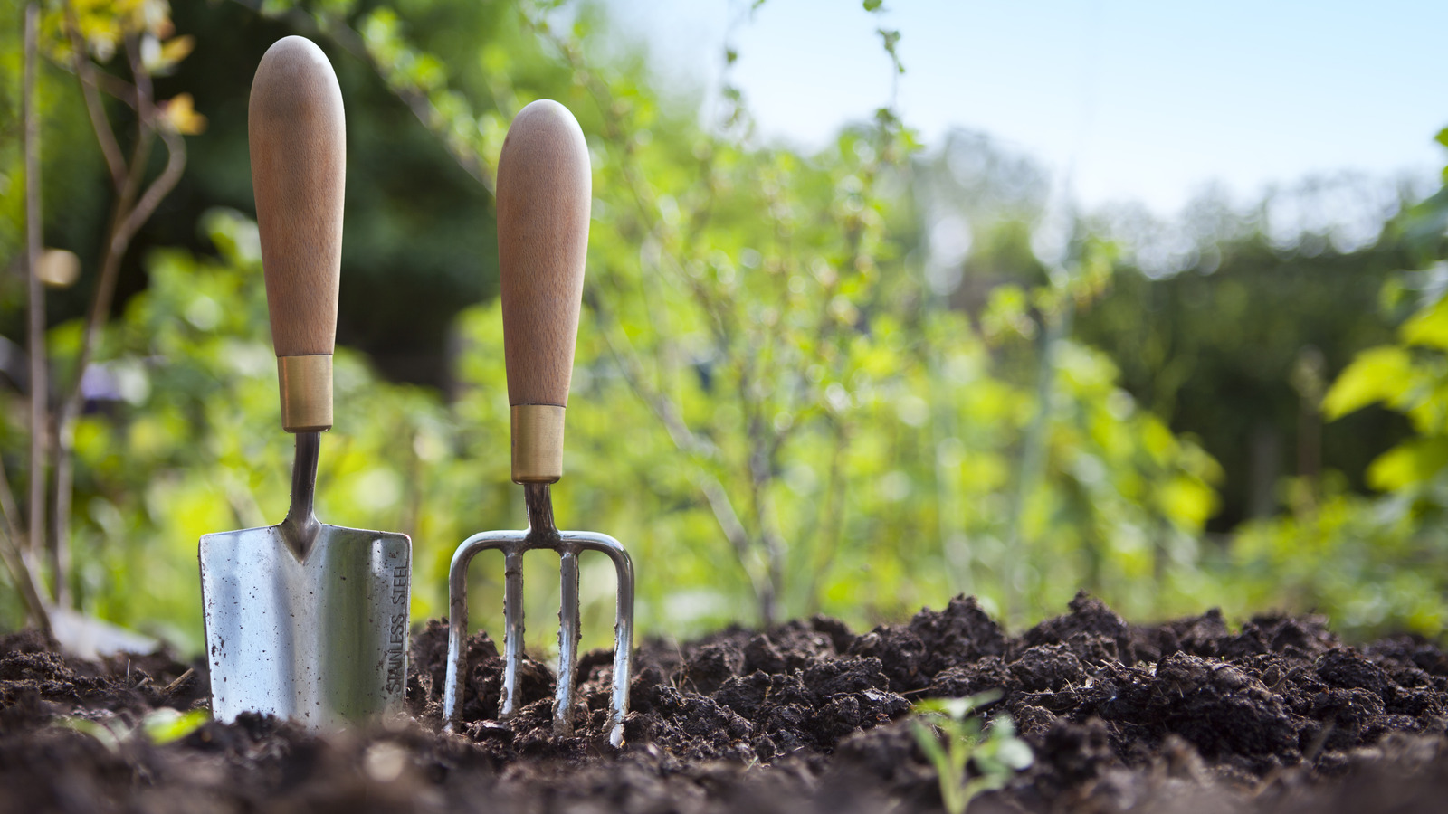 The AllNatural Substance That Will Help Keep Your Garden Tools From