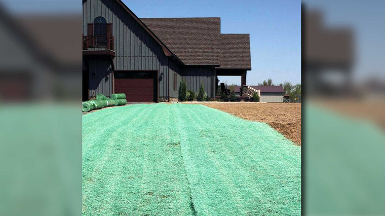 Erosion control blanket rolled out