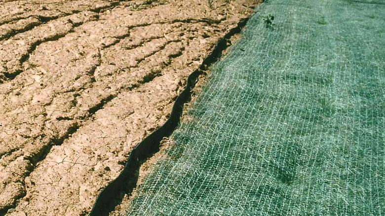 Erosion control blanket on the ground