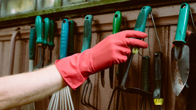 A person grabbing a tool from the wall of a garden shed.