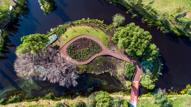 Aerial view of a chinampa at Xochimilco Ecological Park, Mexico City.
